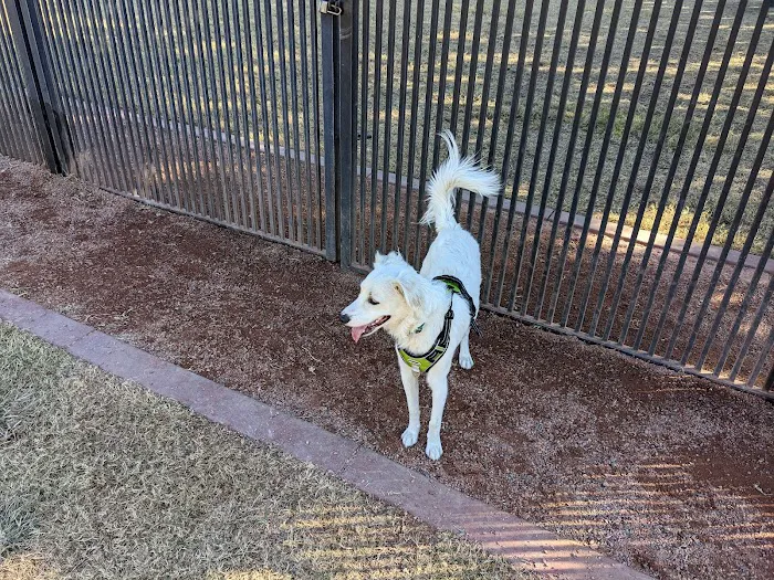 Pocket Park for Pups 9