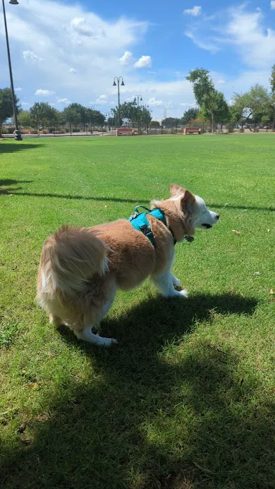 Pocket Park for Pups 7