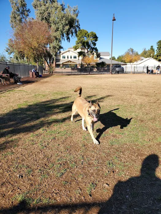 Pocket Park for Pups 3