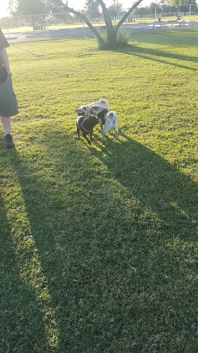 Paradise Valley Park 8