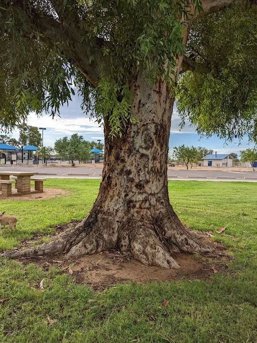 Paradise Valley Park 9