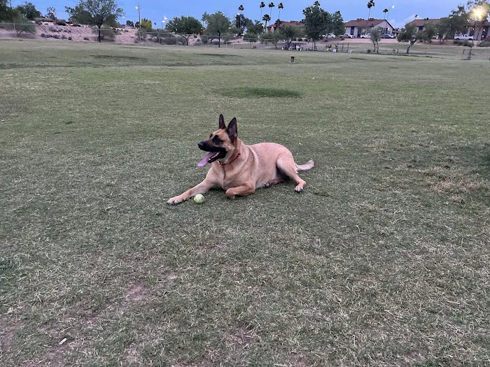 Grover Basin Dog Park 4