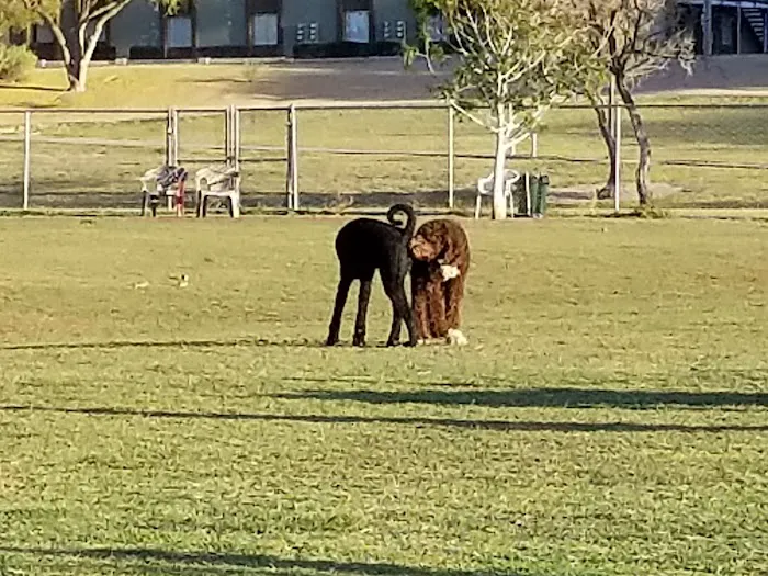 Grover Basin Dog Park 5