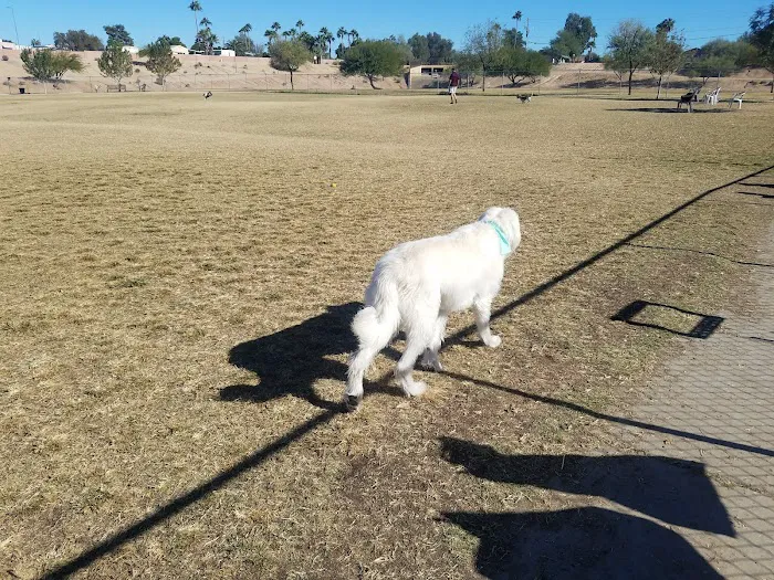 Grover Basin Dog Park 6