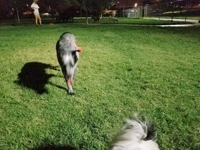 Grover Basin Dog Park 9