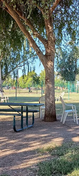 PetSmart Dog Park 7