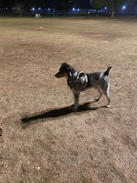 PetSmart Dog Park 2