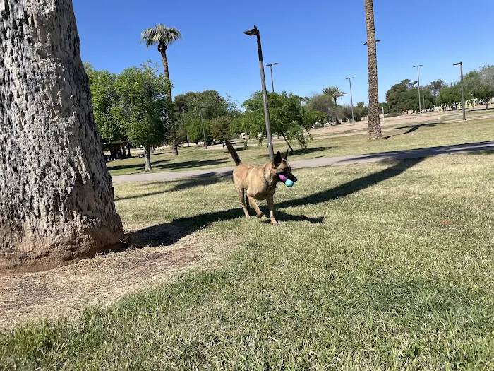 PetSmart Dog Park 5