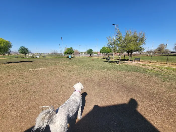 Cesar Chavez Dog Park 2