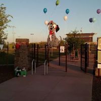 Cesar Chavez Dog Park ico