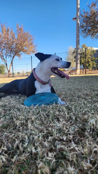 Cesar Chavez Dog Park 3
