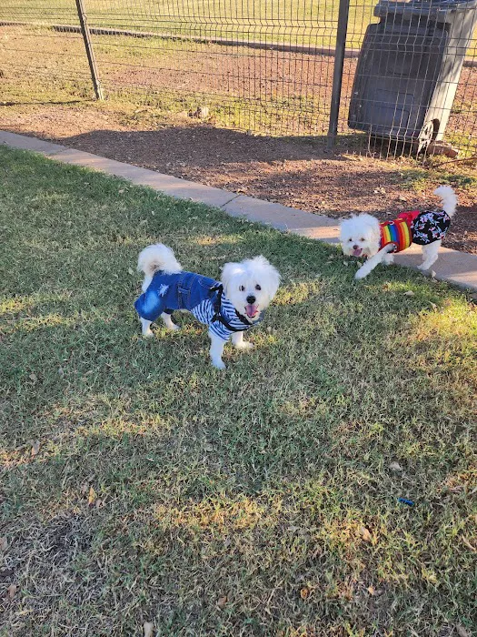 Cesar Chavez Dog Park 7
