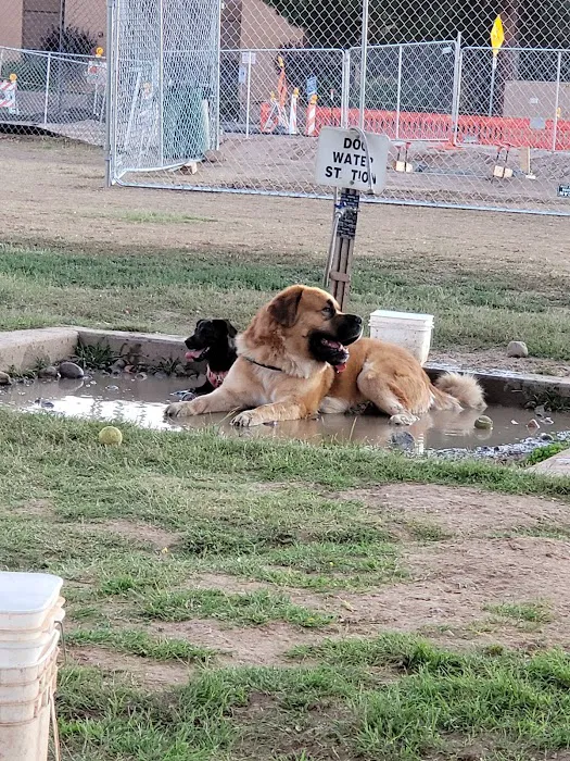 Rose Mofford Dog Park 1