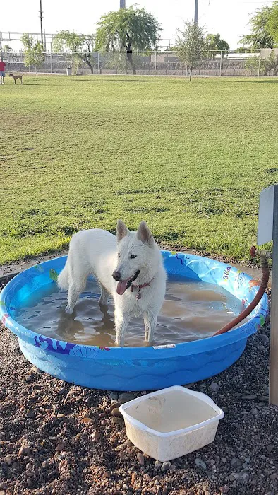 Rose Mofford Dog Park 7