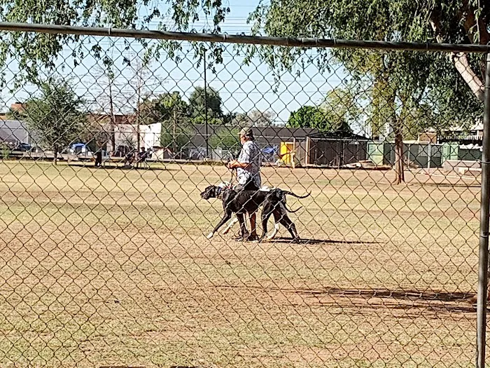 Rose Mofford Dog Park 6