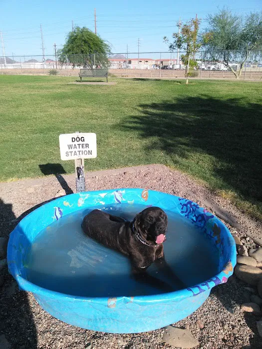 Rose Mofford Dog Park 9