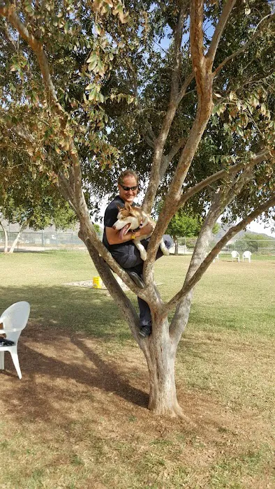 Rose Mofford Dog Park 10