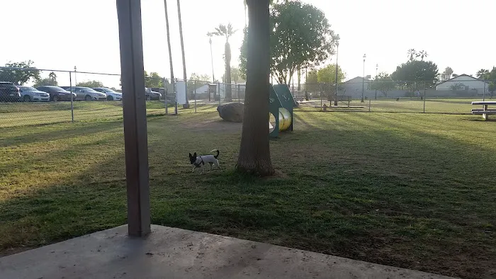 Sahuaro Ranch Dog Park 9
