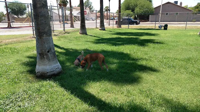 Sahuaro Ranch Dog Park 5