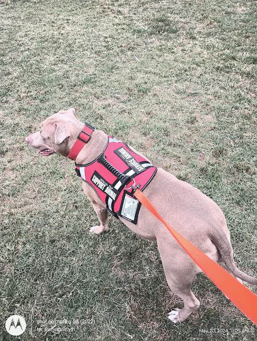Sahuaro Ranch Dog Park 4