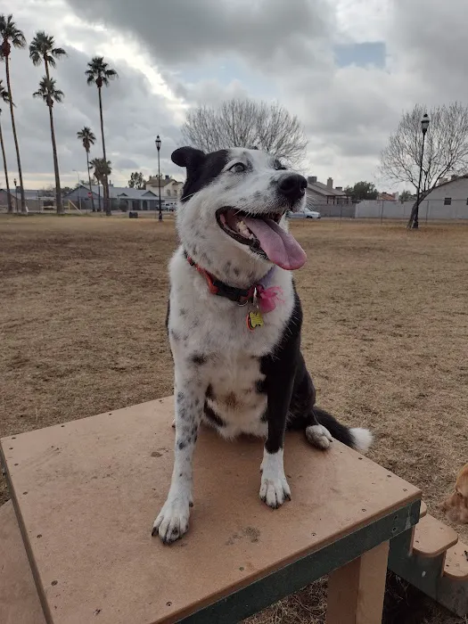 Sahuaro Ranch Dog Park 3