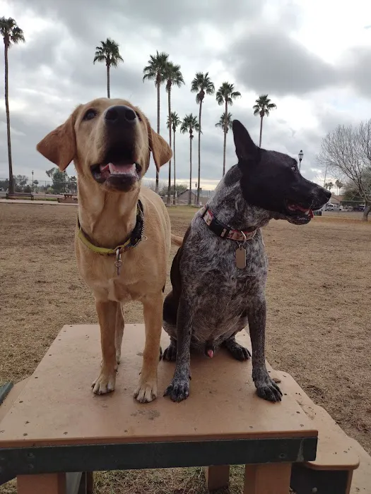 Sahuaro Ranch Dog Park 2