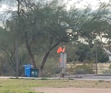 Sunnyslope Dog Park