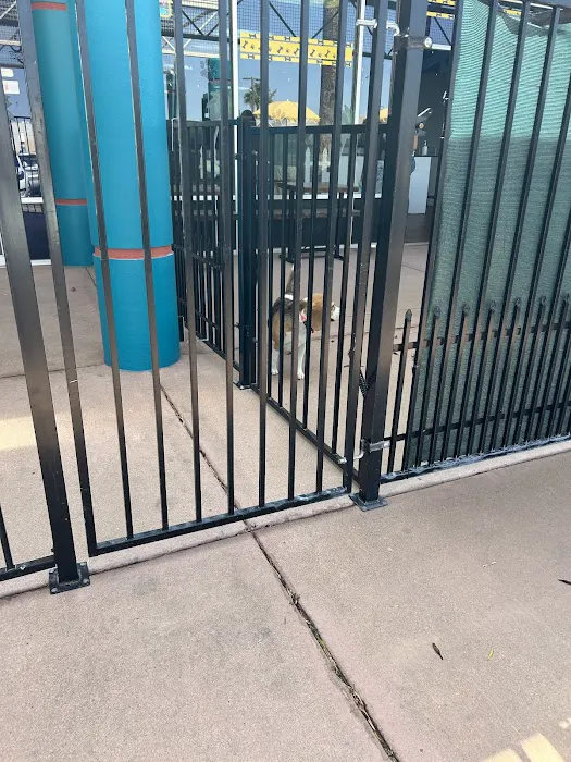 Meraki Paws N Play Indoor Dog Park and Social Club 9