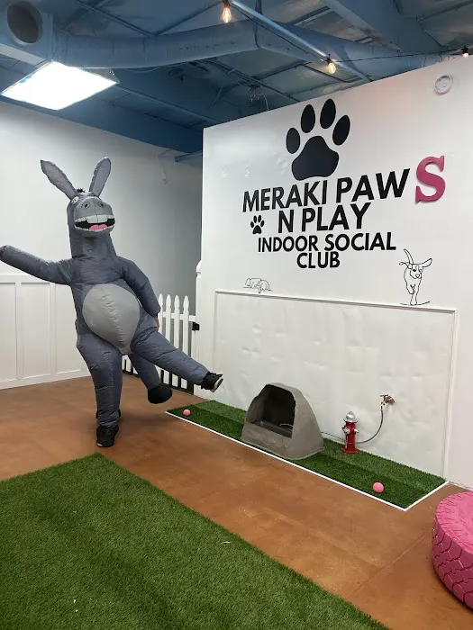 Meraki Paws N Play Indoor Dog Park and Social Club 6