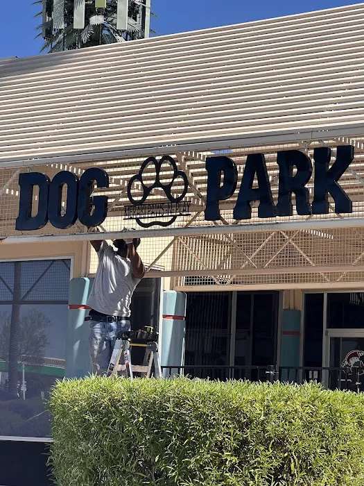 Meraki Paws N Play Indoor Dog Park and Social Club 1