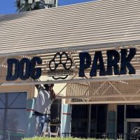 Meraki Paws N Play Indoor Dog Park and Social Club ico