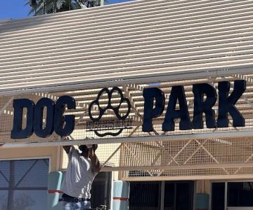 Meraki Paws N Play Indoor Dog Park and Social Club