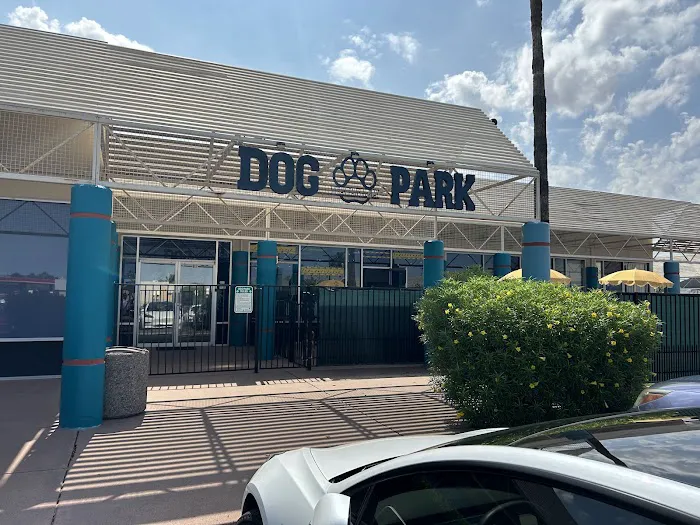 Meraki Paws N Play Indoor Dog Park and Social Club 7