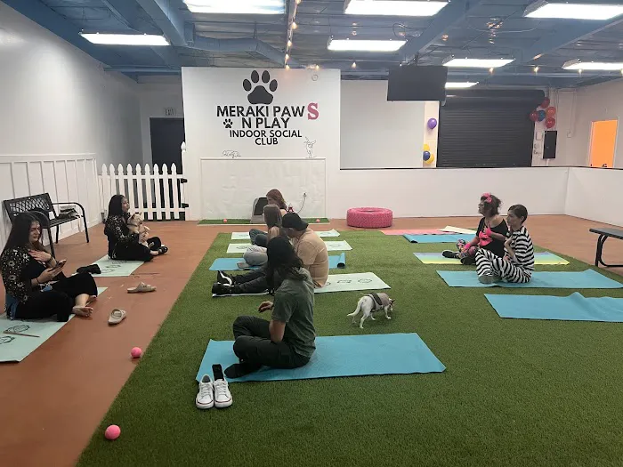 Meraki Paws N Play Indoor Dog Park and Social Club 4