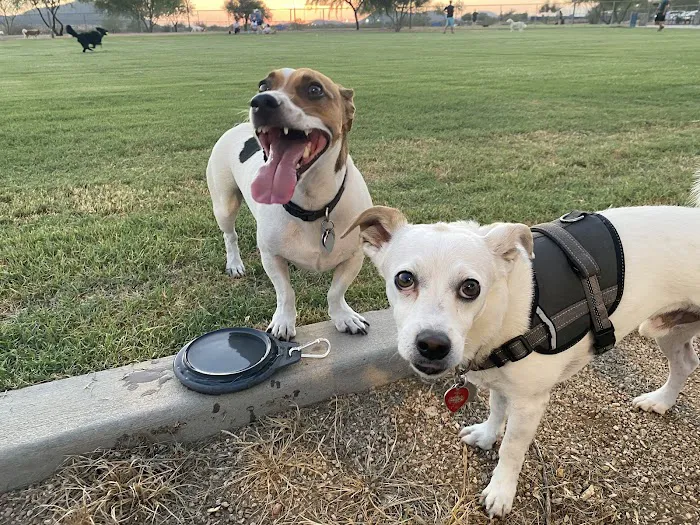 Pinnacle Dog Park 9