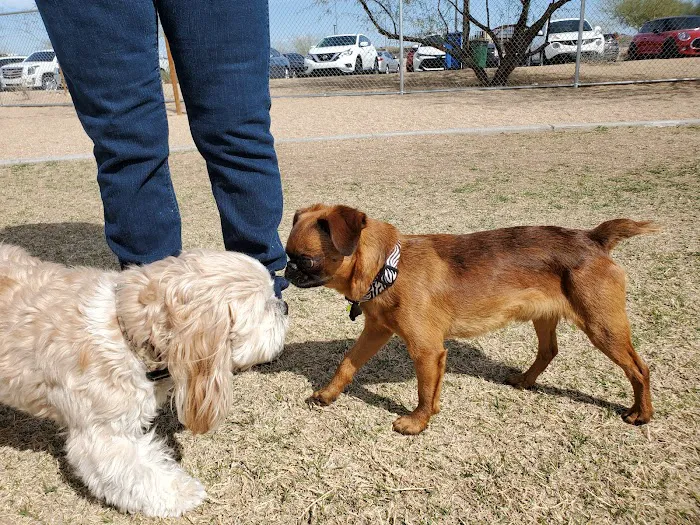 Pinnacle Dog Park 4