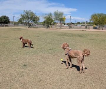 Pinnacle Dog Park