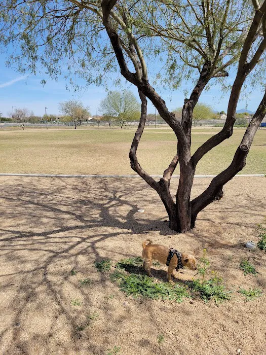 Pinnacle Dog Park 8