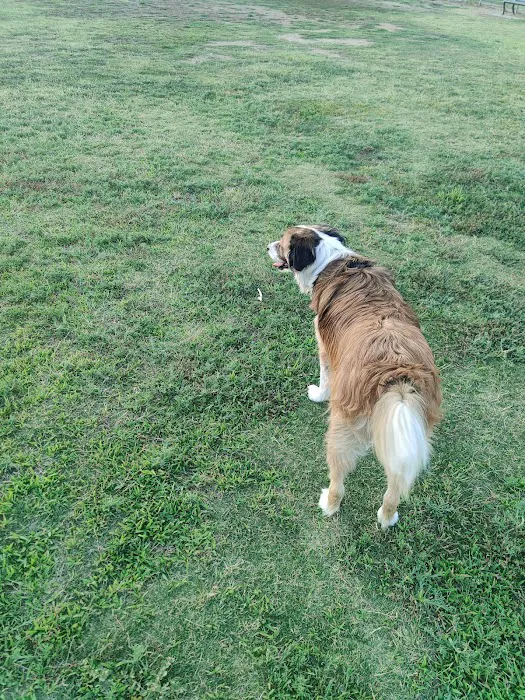 PetSmart Dog Park 1