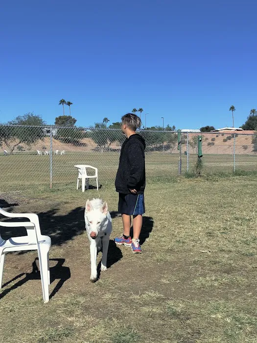PetSmart Dog Park 7