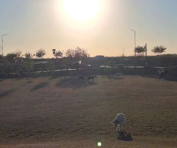 Ruff Ranch Dog Park at Painted Sky Park