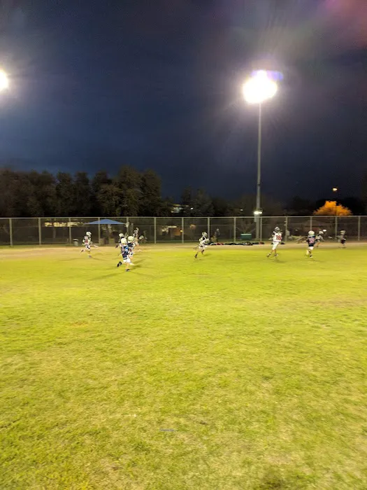 Foothills Dog Park 6