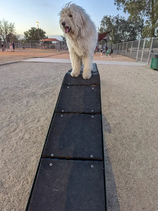 Foothills Dog Park 9