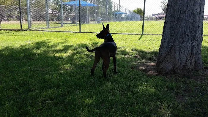 Foothills Dog Park 3