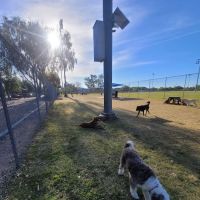 Foothills Dog Park ico