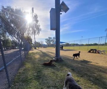 Foothills Dog Park