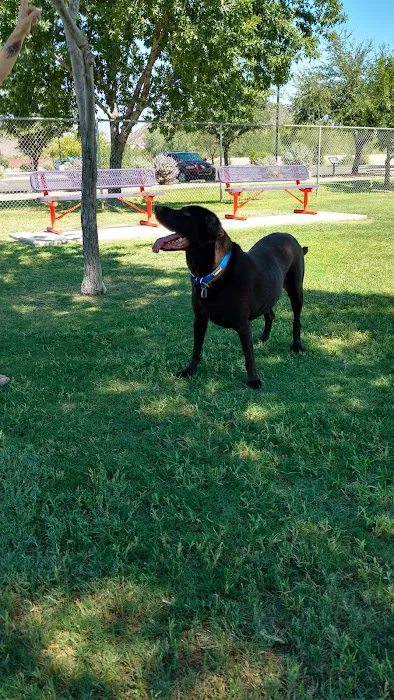 Foothills Dog Park 4