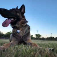 Deem Hills Dog Park ico