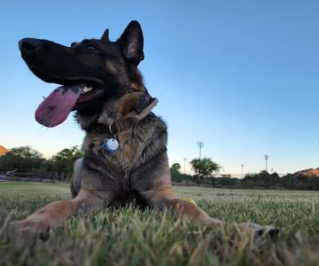 Deem Hills Dog Park
