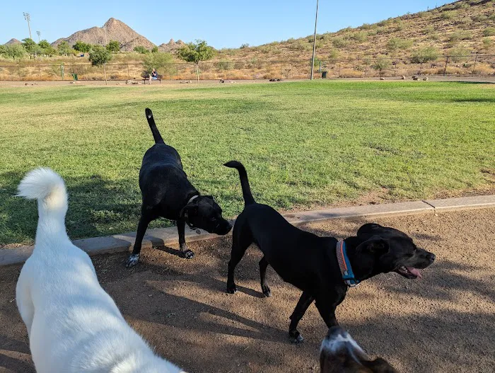 Deem Hills Dog Park 9